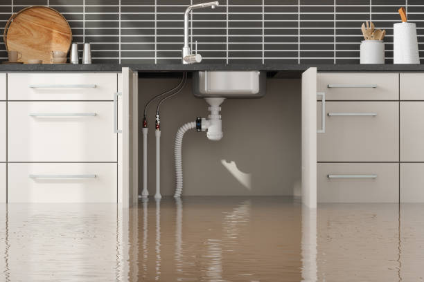 Best Water damage contractors near me  in Northbrook, IL