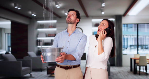 Best Ceiling water damage repair  in Northbrook, IL